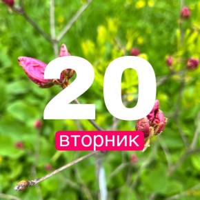  !.        20    +17,     +18,     +16,    +18, ...