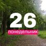 Доброе утро!. Прогноз погоды для жителей Новгородской области на 26 мая Великий Новгород +18, дождь Солецкий округ +17, дождь Валдайский округ +20, небольшой дождь Холмский округ +18, дождь Старорусский округ +20, дождь...