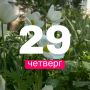 Доброе утро!. Прогноз погоды для жителей Новгородской области на 29 мая Великий Новгород +23, облачно Солецкий округ +23, небольшой дождь Валдайский округ +25, облачно с прояснениями Холмский округ +24, облачно с...