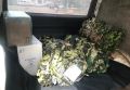 Команда волонтеров из Новгородской области отправила на передовую партию помощи
