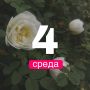  !.        4    +21,    +20,    +20,    +20,    +21,   ...