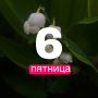  !.        6    +19,     +21,     +20,     +22,  ...