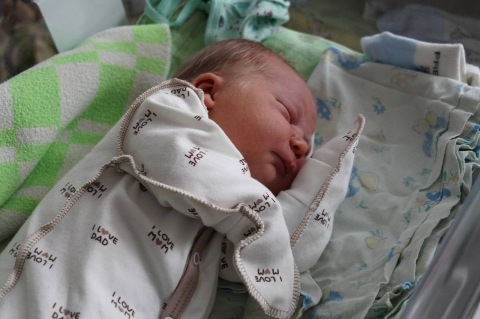 В Новгородской области родились 38 детей благодаря процедуре экстракорпорального оплодотворения