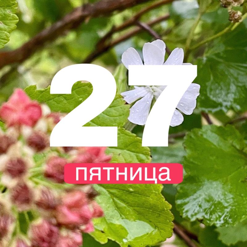  !.        27    +19,      +19,      +18,     ...