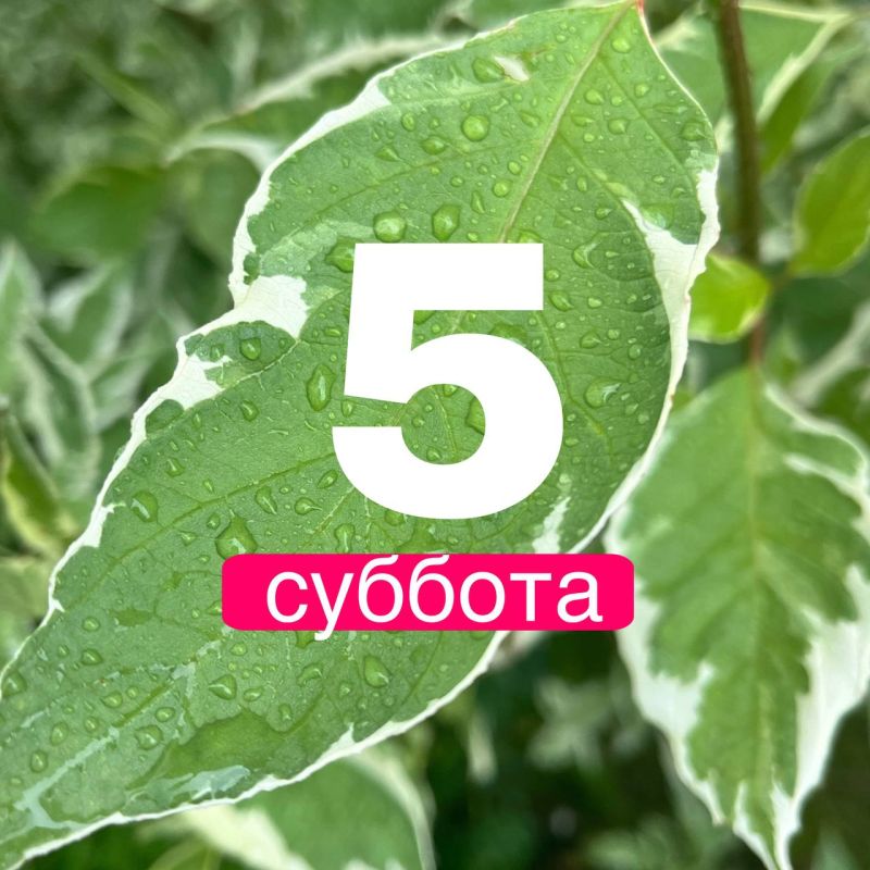  !.        5    +19,    +19,    +18,    +21,    +20, ...