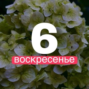  !.        6    +20,    +20,    +19,    +22,    +21,  ...