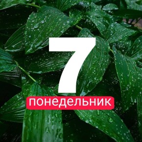  !.        7    +24,    +24,    + 25,    +26,    +24, ...