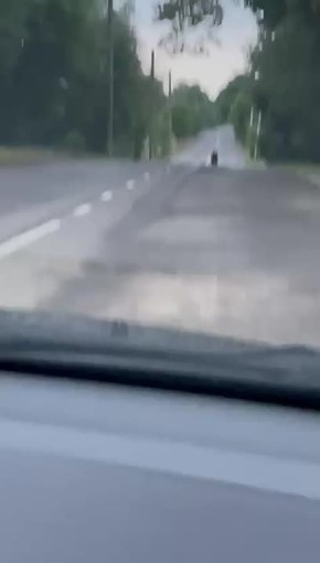           ,        