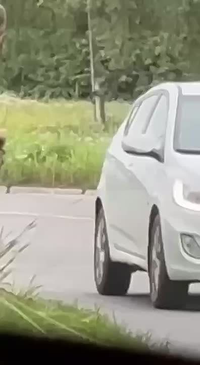  .         ,        ,      