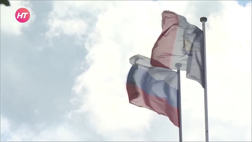              53