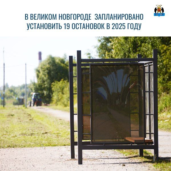  2025    19     
