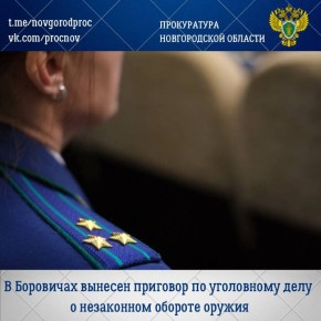 Боровичский районный суд с участием представителя Боровичской межрайонной прокуратуры вынес обвинительный приговор по уголовному делу в отношении жителей Москвы и иностранного государства Сергея Васильева и Андрея Тасасенко...
