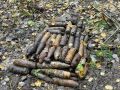 В лесах у новгородской Керести обнаружили более 2500 единиц боеприпасов времён Великой Отечественной войны
