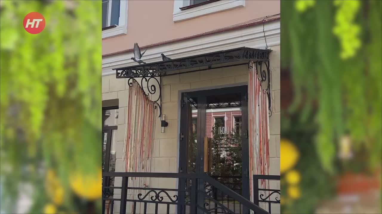 Роскошные натюрморты в программе «Народный эфир»