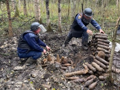 Новгородцы обнаружили крупную партию снарядов времён Великой Отечественной войны