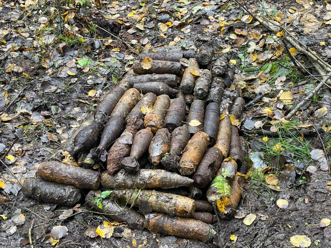 Новгородцы обнаружили крупную партию снарядов времён Великой Отечественной войны Новгородцы обнаружили крупную партию снарядов времён Великой Отечественной войны