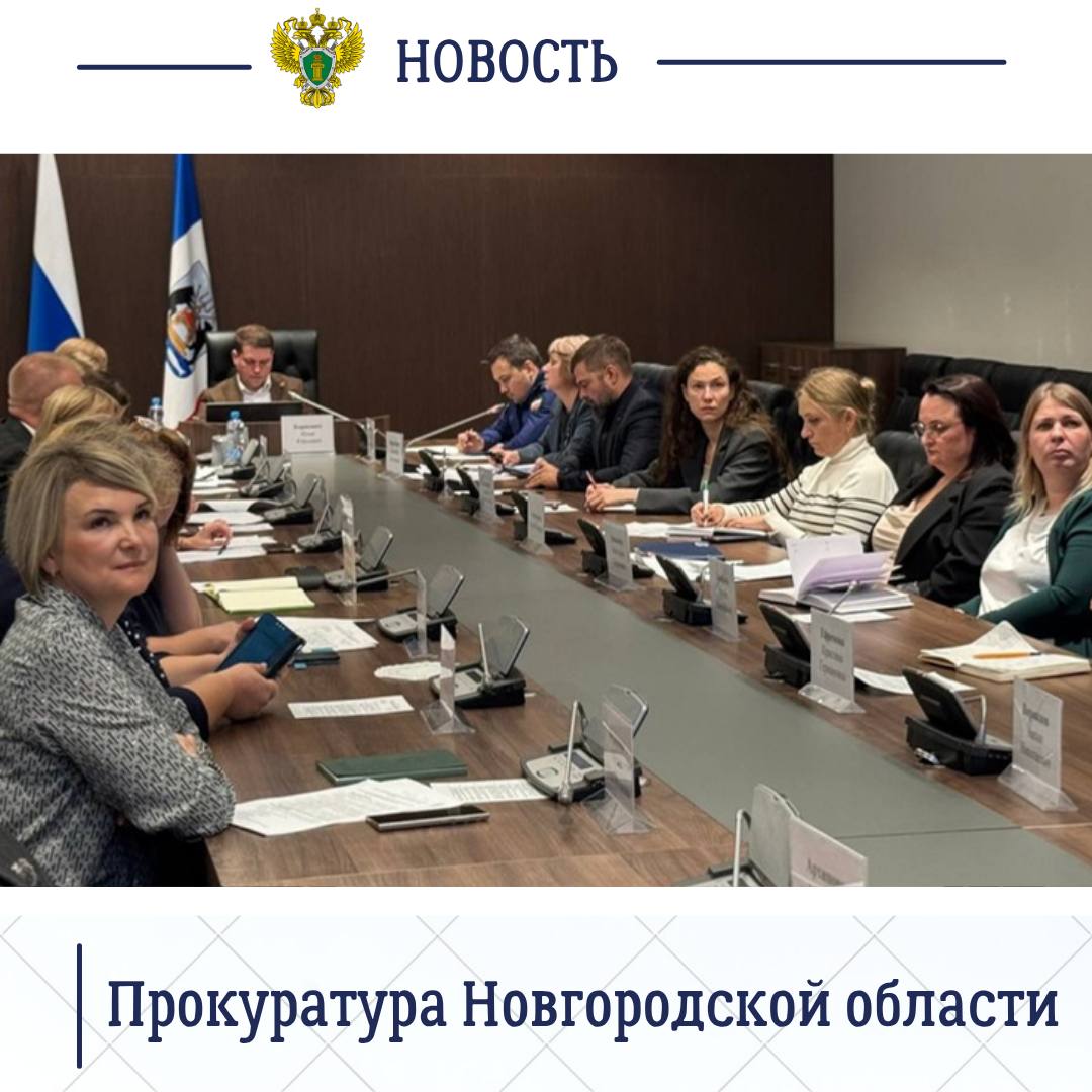 Прокурор отдела по надзору за исполнением федерального законодательства прокуратуры Новгородской области принял участие в заседании рабочей группы по вопросам контрольной (надзорной) деятельности