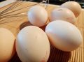 "Вкусное и мягкое": печенье на кефире - готовится легко и просто