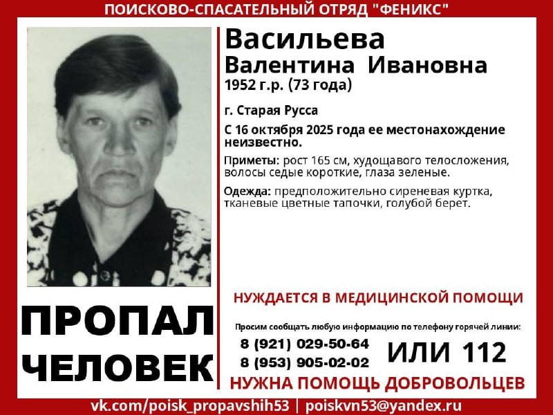 В Новгородской области идут поиски 73-летней жительницы Старой Руссы