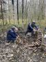 В новгородских лесах обнаружили партию снарядов времён Великой Отечественной войны