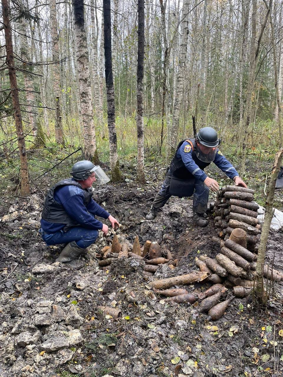 В новгородских лесах обнаружили партию снарядов времён Великой Отечественной войны
