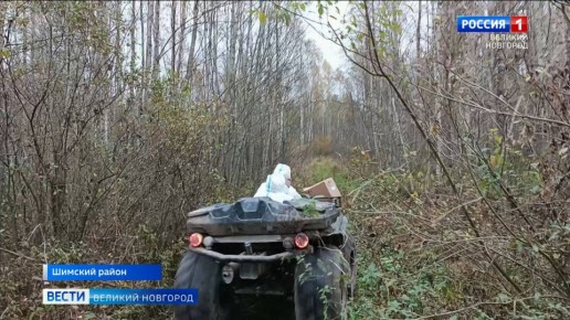 В Новгородской области идёт кампания по вакцинации диких животных от бешенства