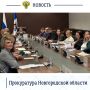 Прокурор отдела по надзору за исполнением федерального законодательства прокуратуры Новгородской области принял участие в заседании рабочей группы по вопросам контрольной (надзорной) деятельности