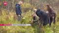 Новгородские поисковики передали родным награду погибшего под Старой Руссой ефрейтора