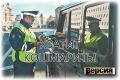 Автовладельцы под давлением: штрафы и их разрушительные последствия