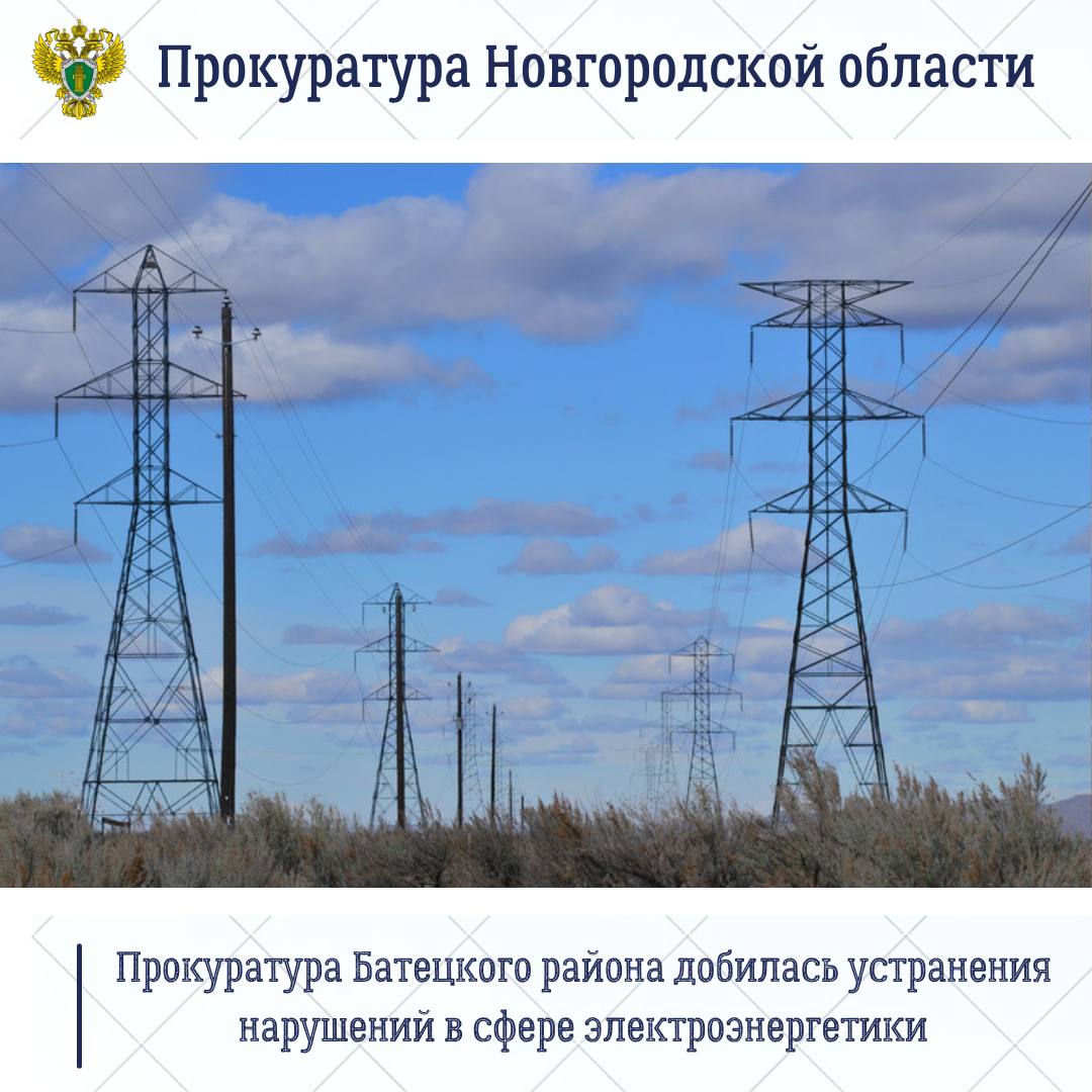 Прокуратура Батецкого района по обращению местного жителя провела проверку соблюдения законодательства в сфере электроэнергетики