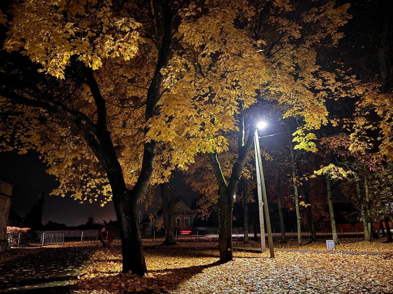 Спокойной ночи, Новгородская область!