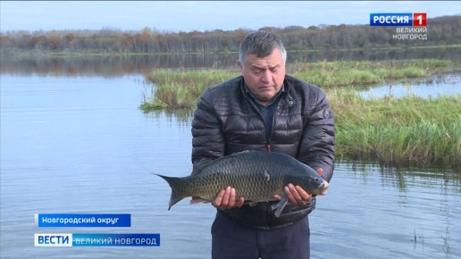 Учеников агрокласса Борковской школы познакомили с крестьянским хозяйством Пиреевых