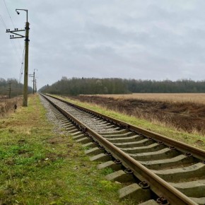 Более 20 км пути выпрямлено в Новгородской области