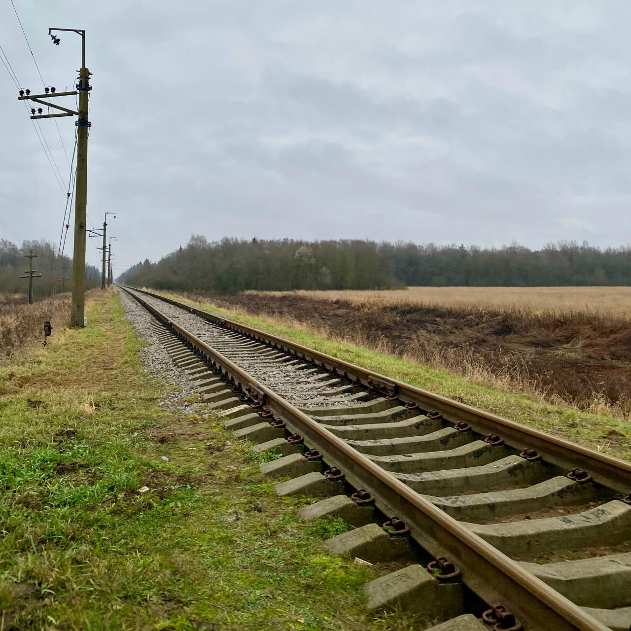 Более 20 км пути выпрямлено в Новгородской области