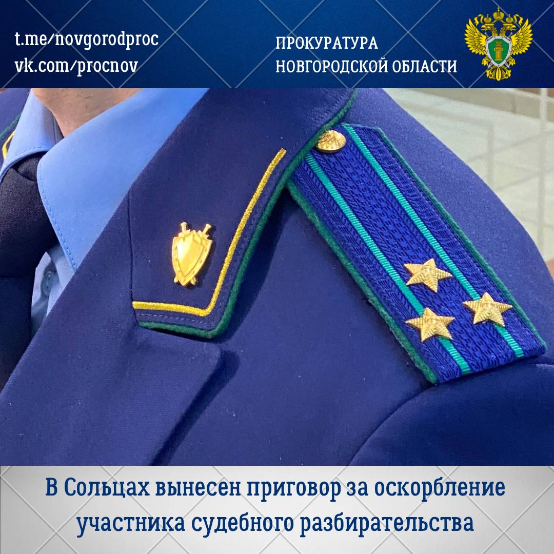 Солецкий районный суд с участием представителя прокуратуры Солецкого района вынес обвинительный приговор по уголовному делу в отношении Лидии Емельяненко