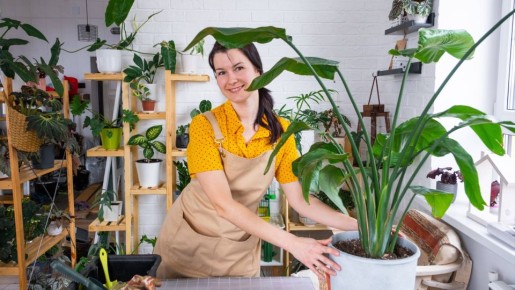 Ошибки при опрыскивании допускают 99% хозяек: процедура становится бесполезной