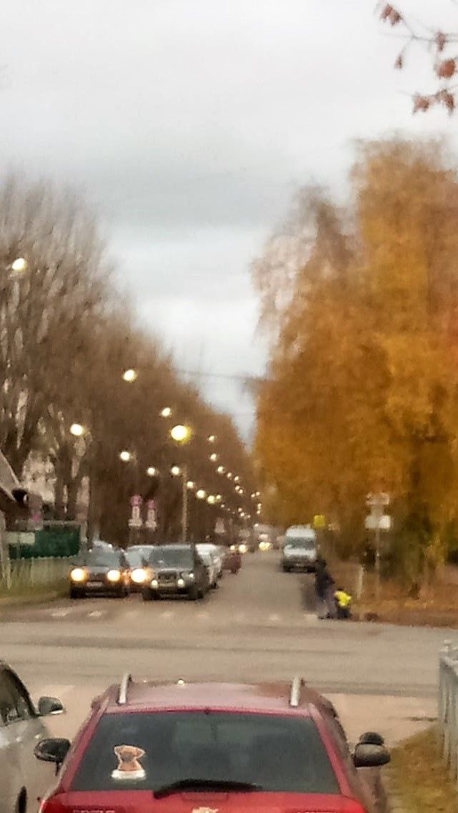 Александр Розбаум: Уважаемые Новгородцы!. В адрес Администрации поступают вопросы, как идут работы по восстановлению уличного освещения и почему фонари горят в дневное время Александр Розбаум: Уважаемые Новгородцы!. В адрес Администрации поступают вопросы, как идут работы по восстановлению уличного освещения и почему фонари горят в дневное время