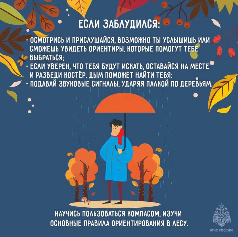 Лес таит в себе много опасностей Лес таит в себе много опасностей