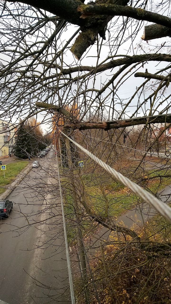 Александр Розбаум: Уважаемые Новгородцы!. В адрес Администрации поступают вопросы, как идут работы по восстановлению уличного освещения и почему фонари горят в дневное время Александр Розбаум: Уважаемые Новгородцы!. В адрес Администрации поступают вопросы, как идут работы по восстановлению уличного освещения и почему фонари горят в дневное время