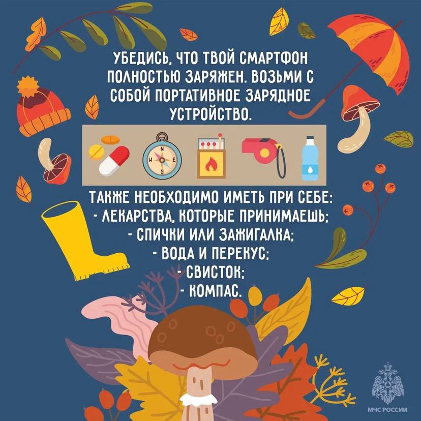 Лес таит в себе много опасностей Лес таит в себе много опасностей