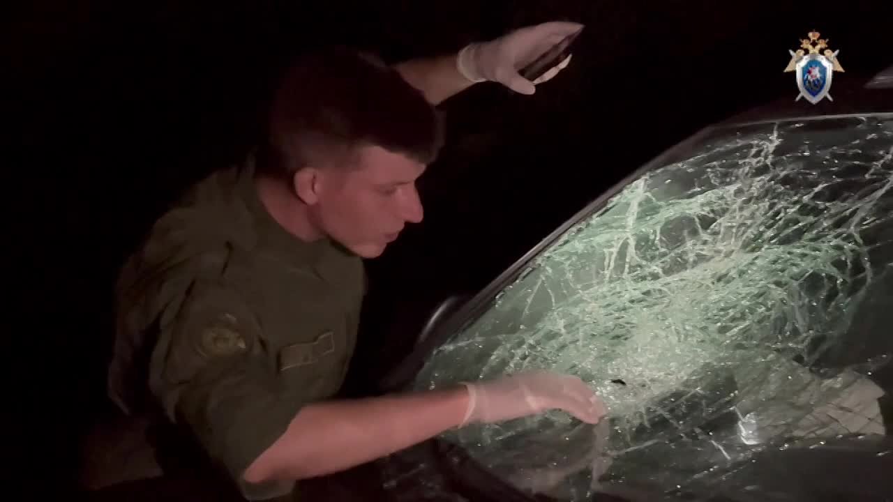 В Новгородской области местный житель предстанет перед судом за дорожно-транспортное происшествие, в котором погибли мужчина и ребёнок