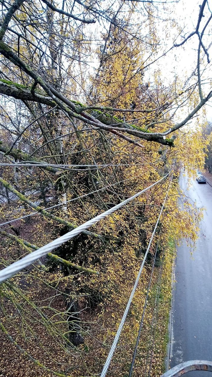 Александр Розбаум: Уважаемые Новгородцы!. В адрес Администрации поступают вопросы, как идут работы по восстановлению уличного освещения и почему фонари горят в дневное время Александр Розбаум: Уважаемые Новгородцы!. В адрес Администрации поступают вопросы, как идут работы по восстановлению уличного освещения и почему фонари горят в дневное время