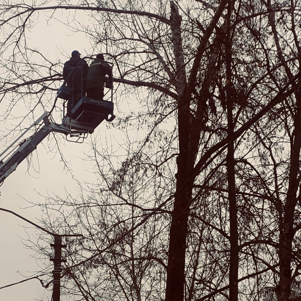 Великий Новгород становится чище каждый день Великий Новгород становится чище каждый день