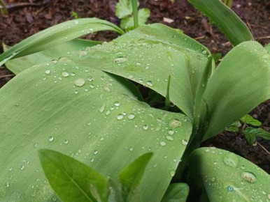  !.          ,    2025   