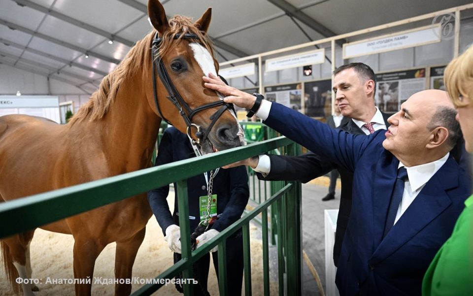 Лучшие фото за октябрь. Агропромышленная выставка «Золотая осень 2025», пленарная сессия дискуссионного клуба «Валдай» и другие события — в фотогалерее «Ъ»