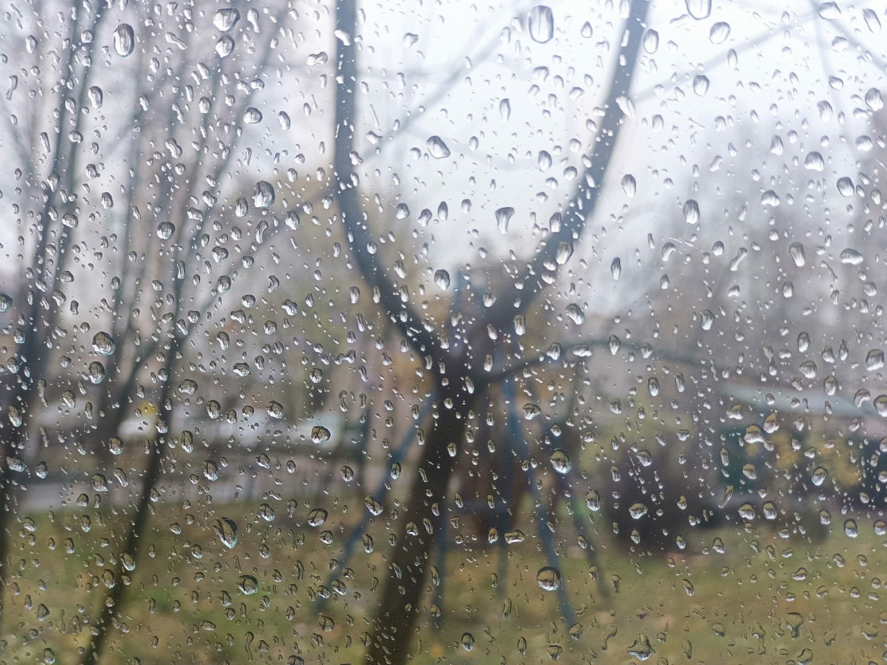 Синоптики рассказали, какая погода ждёт новгородцев в День народного единства