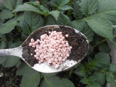 Выбор удобрений для вашего сада: советы и секреты