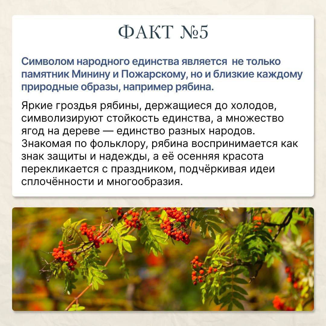 Конечно, вот переработанный текст в формате новостной заметки: Конечно, вот переработанный текст в формате новостной заметки: