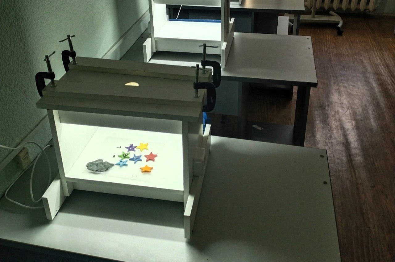 Киномузей приглашает новгородские семьи научиться созданию мультфильмов