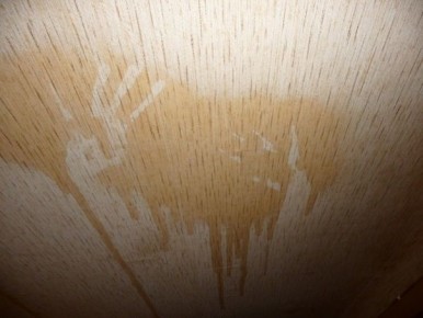 Коричневые пятна на обоях: как выявить и устранить проблему